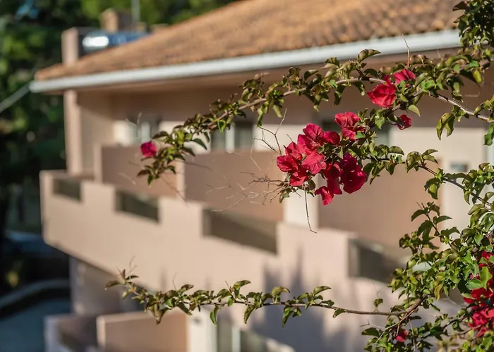 Otel Hotel Vasilikos Beach
