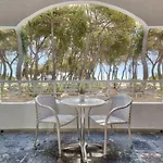 Hotel Hotel Vasilikos Beach
