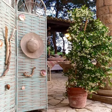 Hotel Vasilikos Beach