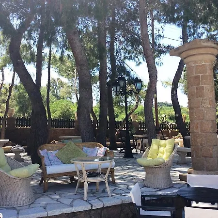 Hotel Vasilikos Beach 2*