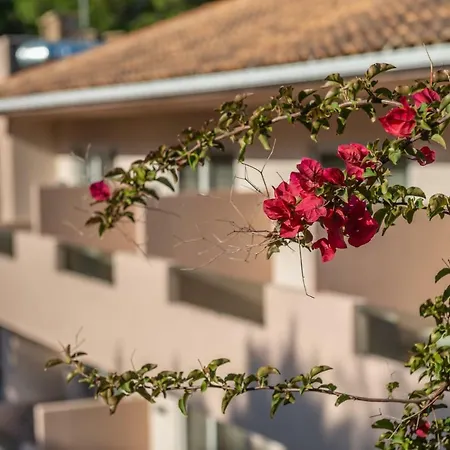 מלון Hotel Vasilikos Beach