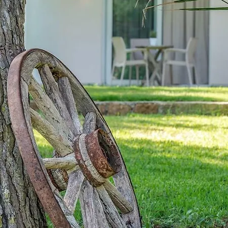 Hotel Vasilikos Beach