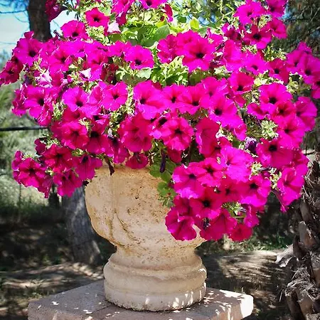 Hotel Vasilikos Beach 2*