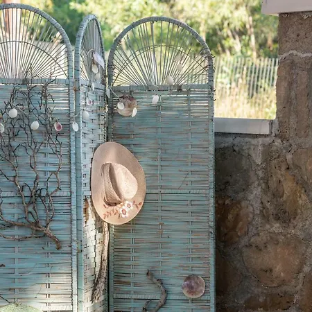 Otel Hotel Vasilikos Beach